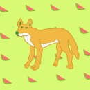 Melon Dingo