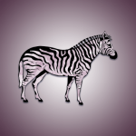Quartz Zebra
