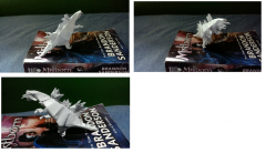 More information about "Origami Whitespine"