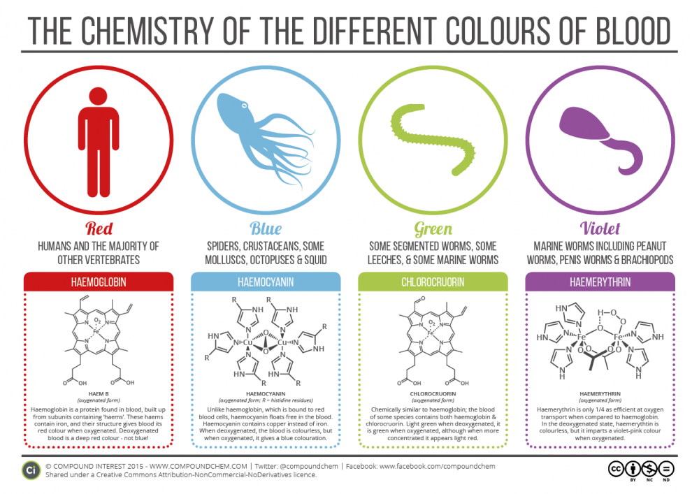 chemistry-of-blood-colours-2015.png