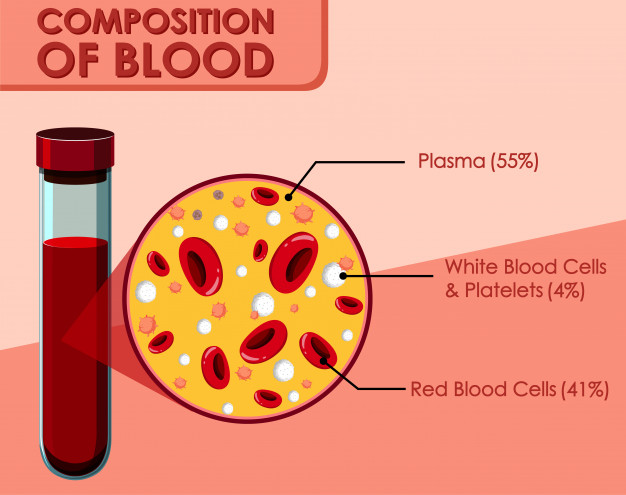 diagram-showing-composition-blood_1308-36054.jpg