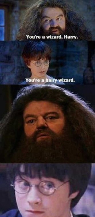 hairy wizard.jpg