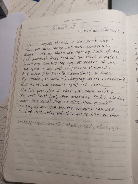 A page of a notebook. Shakespeare's Sonnet 18 is written on it.