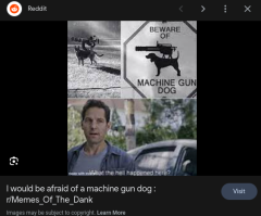 beware of machine gun dog.png